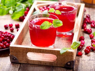 Brusnicový džús ZAŤAŽUJE močový