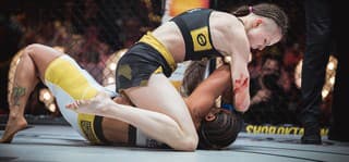 Expanzia domácich bojovníkov do