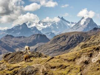 Desivé odhalenie v Andách: