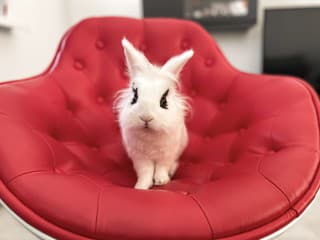 HLASOVANIE Súťaž o najkrajšieho