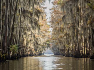 Les na jazere Caddo,