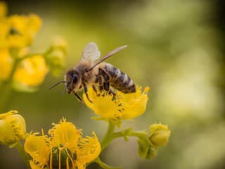 Súd v Kalifornii rozhodol!
