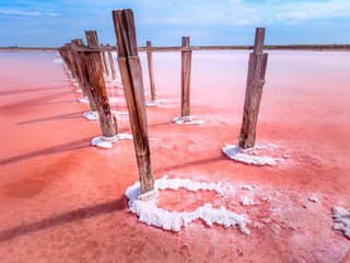 Ružové a slané: Krymské