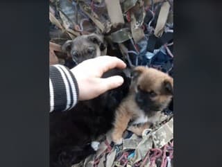 VIDEO z Ukrajiny, ktoré