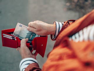 Analýza: Slováci si za