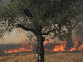 Portugalsko sužujú lesné požiare