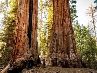 Kvôli klimatických zmenám môžu