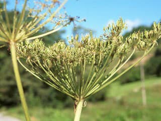 Ochranári varujú: Na túrach