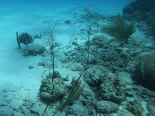 Podmorské slané jazerá: Výskumníci