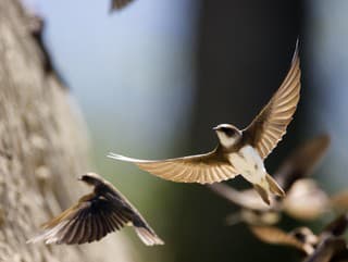 Na Slovensku máme nový