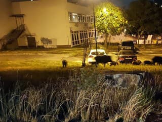 FOTO Študenti sa pozreli