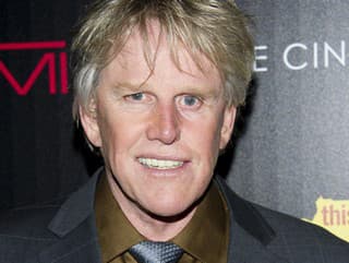 Gary Busey 