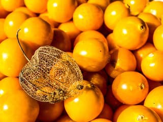 V množstve VITAMÍNU C