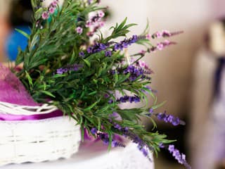 Zápasíte s otravným a