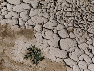 Ak aj ty neznášaš