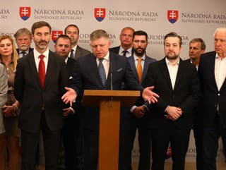 Osem slovenských europoslancov žiada
