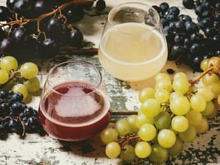 KVÍZ o BURČIAKU, ktorý