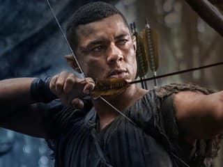 Rasovo diverzné obsadenie v