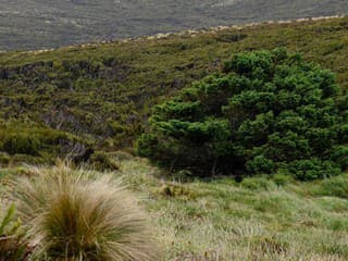 Počul si o najosamelejšom