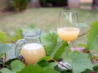 RECEPT na výrobu domáceho