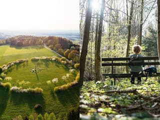 Ovocné stromy ako svedkovia