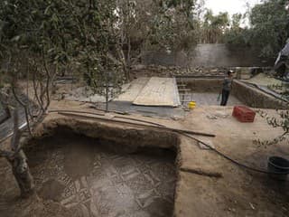 OBRAZOM: Muž na záhrade