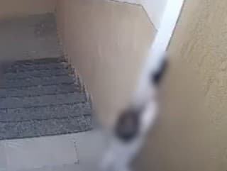 VIDEO, z ktorého DRÁSA