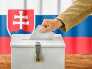 Voľby 2022: Herečka Milena