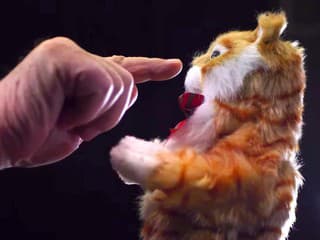 videoklip Píseň, 2022