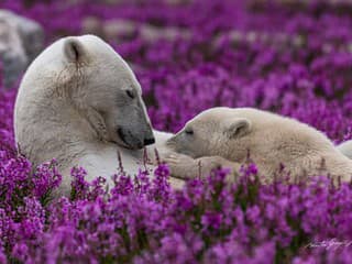 Martin strávil 33 dní