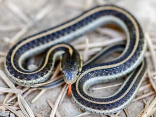 Hororový let: Pasažierov na