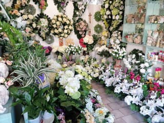 Zase oprášime peňaženky? VEĽKÉ