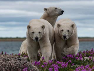 VIDEO zo zákulisia: Takto
