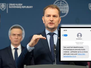 Doplatil MATOVIČ na podvodníkov?