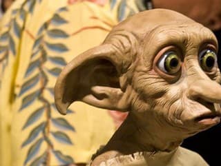 Dobbyho hrob ohrozuje životné