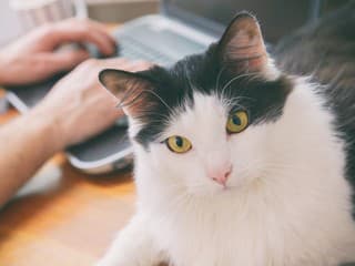 KVÍZ, ktorý zvládne len