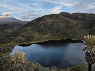 Región Tolima je botanickou