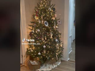 Rodinu vydesil vianočný stromček: