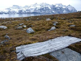 Prevratný objav v Grónsku: