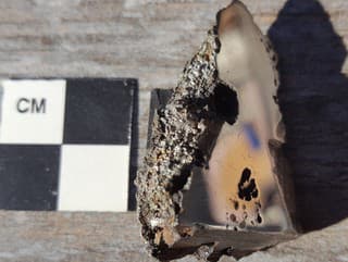 Fenomenálny objav: Neuveríš, čo