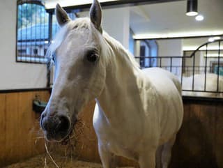 Skvelá správa pre Slovensko: