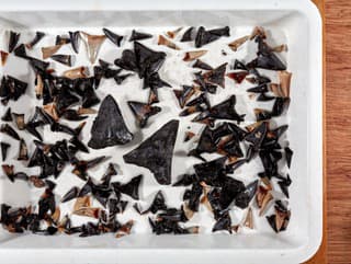 Ďalšia mysteriózna záhada odhalená: