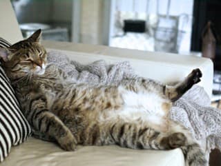 Chcete byť neúspešní? Nikdy