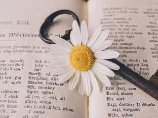 Kvíz PREKVAPENÍ: Trúfneš si