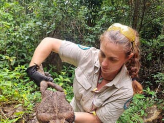 V Austrálii objavili príšeru: