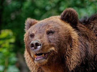 FOTO Výkyvy počasia lákajú