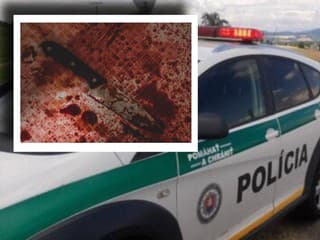 DETAILY brutálnej drámy v