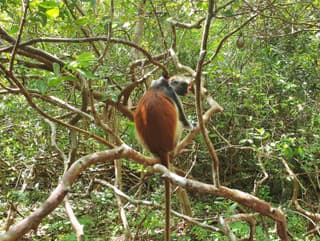 Na vlastnej koži: Zanzibarská