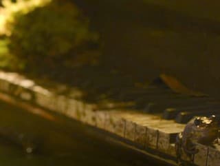 Populárny seriál The Last