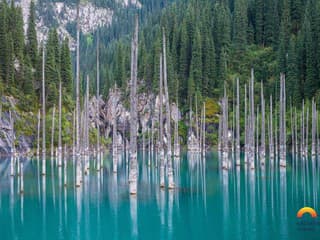 Magický svet pod vodou: